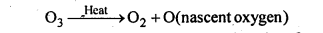 Solutions Class 12 Chemistry Chapter-7 (The p Block Elements)