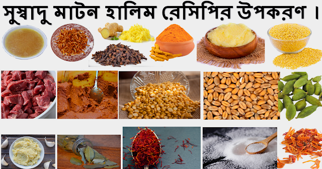 চিকেন হালিম তৈরির সহজ রেসিপি II Mutton Haleem Recipe in Bengali