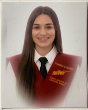 Mi foto