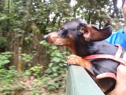 Radicao 10 (125)