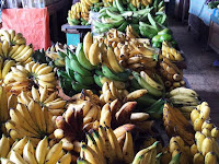 バナナ／Pisang ②