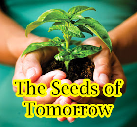 Garden Talk: The Seeds of Tomorrow