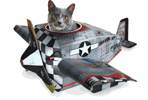 KucingGengster!: kotak mainan kucing