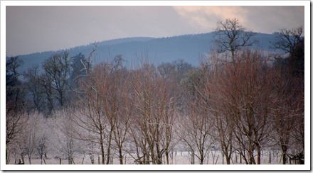 17 Jan 12 17-01-2012 11-00-51