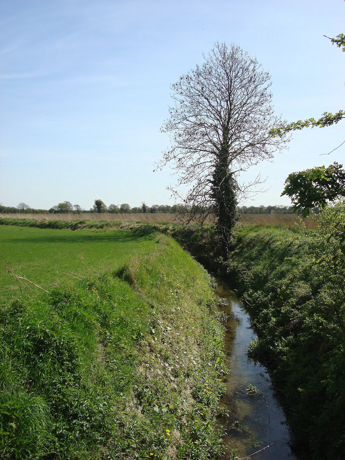 DSC07522.JPG