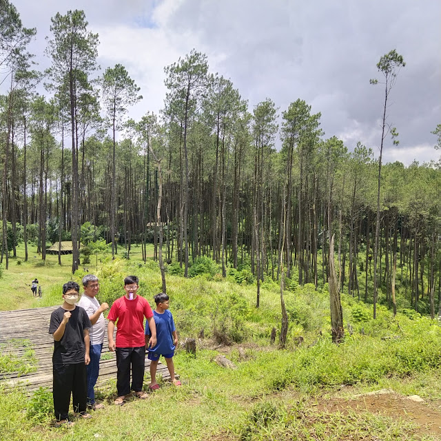 Hutan Lamping Cirorek