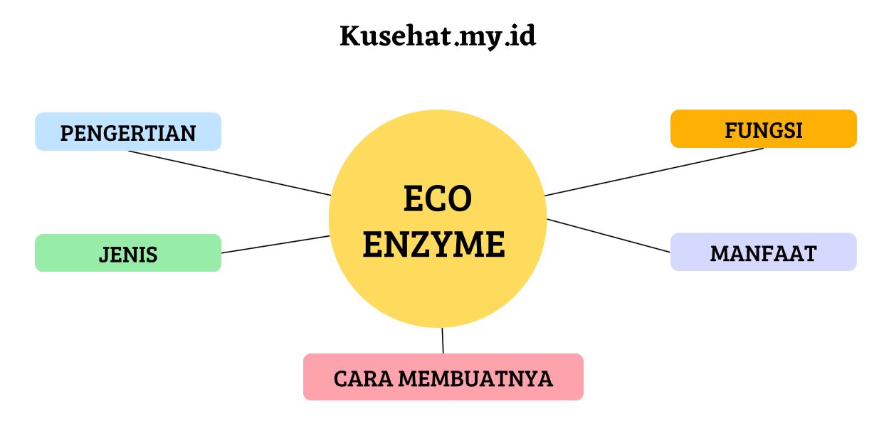 apa-itu-eco-enzyme
