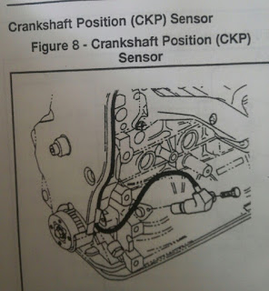 sensor ckp