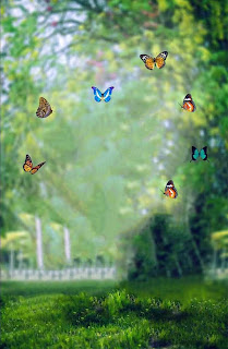 New Full Hd Nature Cb Background With Butterfly