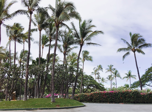 Maui's Hyatt Regency driveway