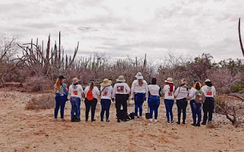 Costa Azul, Sinaloa, pueblo de pescadores... y de fosas