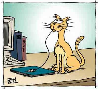 Funny Comic Pictures on Funny Cartoon  Funny Cartoon Pictures  English Cartoon  Cat Like Mouse