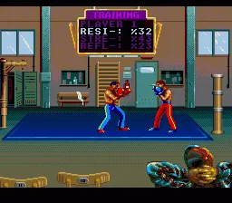 Jogue Championship Karate para Snes online grátis