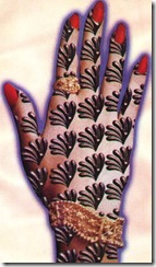 مہندی کے ڈیزائن3