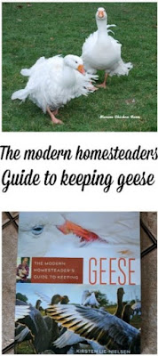 How to guide | geese
