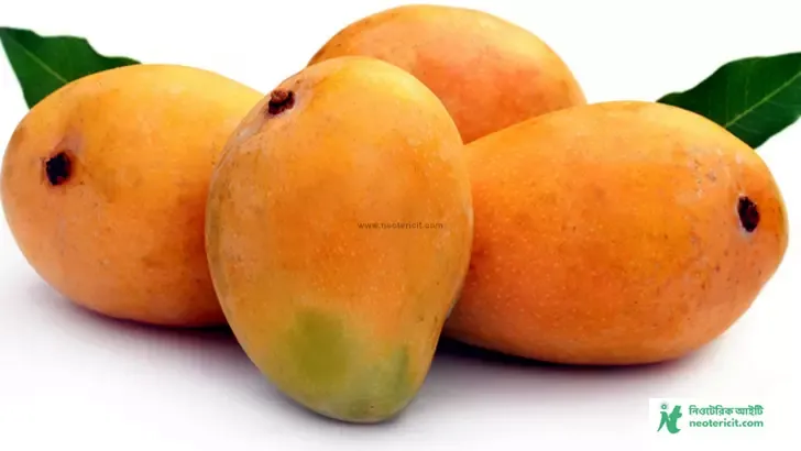 আমের ছবি ডাউনলোড - কাঁচা আমের পিকচার, পিক - mango pic - NeotericIT.com - Image no 9