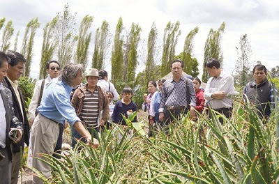 Cuáles son las regiones más importantes de Ecuador por su Biodiversidad 