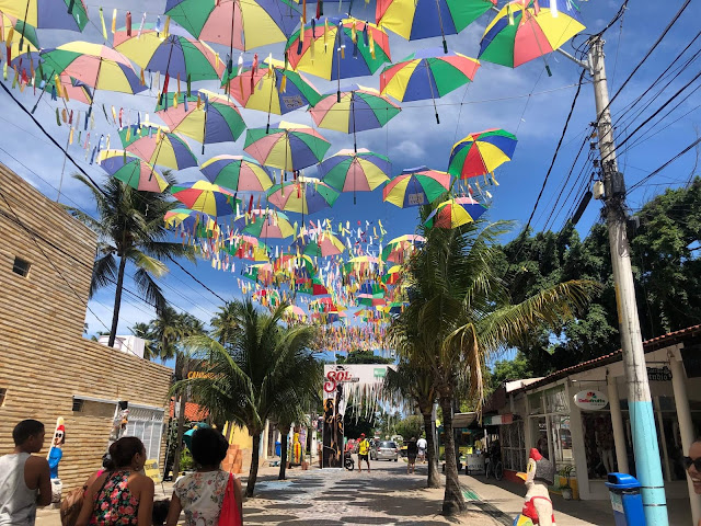 Blog Apaixonados por Viagens - Porto de Galinhas - Passeios