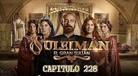 CAPITULO 228