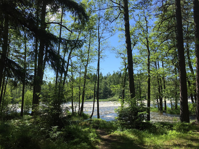 Langinkoski Finland, Langinkoski Nature Trail Finland, River Kimijoki