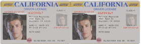 sample CA drivers license