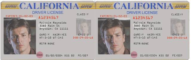 sample CA drivers license