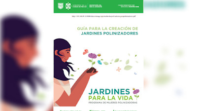 Guía para la Creación de Jardines Polinizadores - SEDEMA [PDF] 