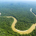 Serviço Florestal abre consulta para concessão de floresta no Amazonas