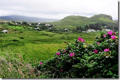 near portnalong