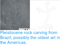 http://sciencythoughts.blogspot.com/2012/02/pleistocene-rock-carving-from-brazil.html