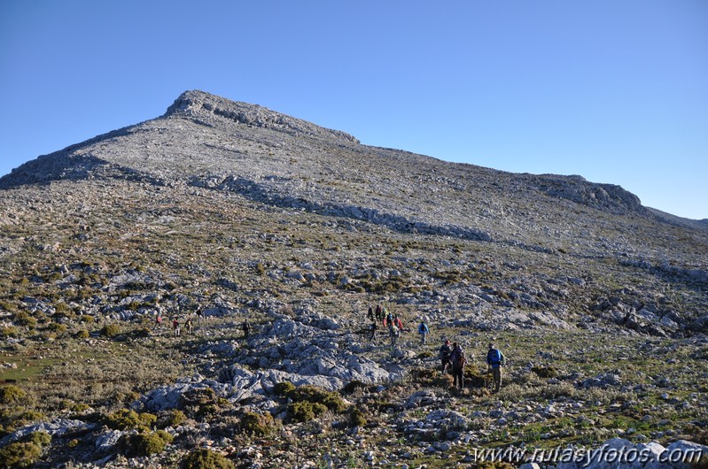 Jarastepar - Cancho de Almola