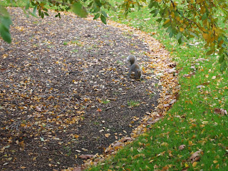 Kew Garden garden design, London.