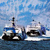 Large Catamaran Plans