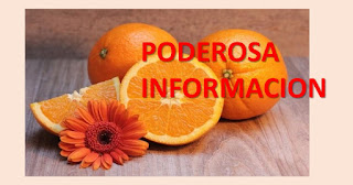 https://natwiki.blogspot.com/2018/12/conozca-los-secretos-de-la-naranja-y-la.html