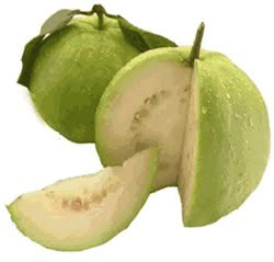 Jambu batu - guava benefits for health