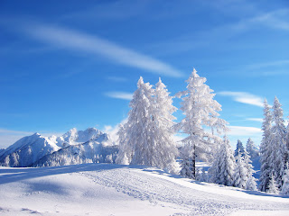 Winter Wallpaper hd nature winter