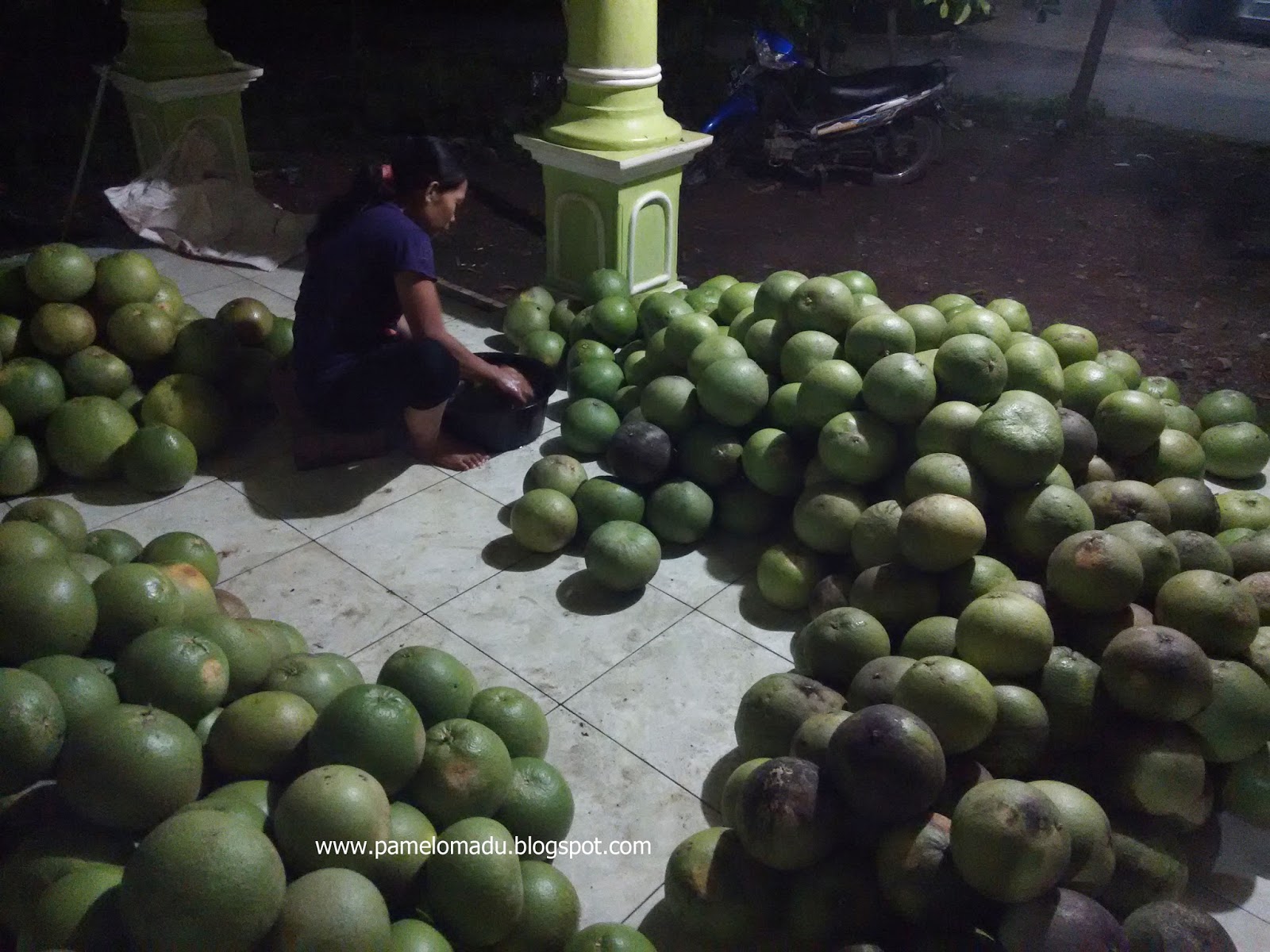 2012 Jeruk Bali Pamelo Madu Bageng