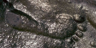 The Zapata Print: Evidence of Advanced Life on Earth Millions of Years Ago?