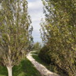 View album