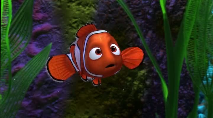 Screen Shot Of Finding Nemo (2003) Dual Audio Movie 300MB small Size PC Movie