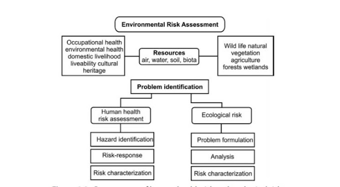 Evaluación del Riesgo Ambiental