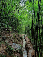 sapa vietnam cosa fare e vedere