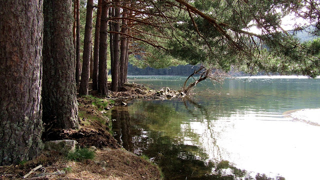 Valle Río Moros - Mostajo