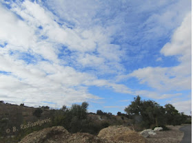 "Larry" Moore Park in Paso Robles: A Photographic Review - South Entrance