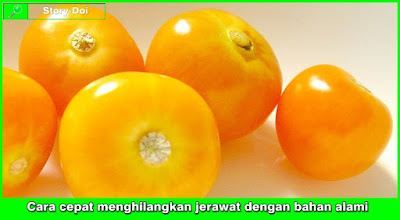 Cara cepat menghilangkan jerawat dengan bahan alami