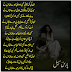 Mere Apno Ne - Sad Urdu Long Ghazal