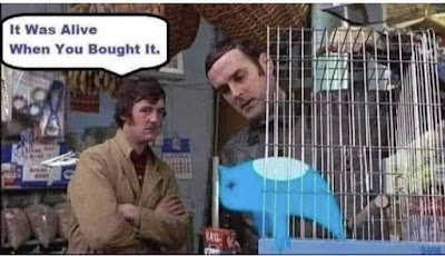 Monty Python Dead Parrot Twitter Meme