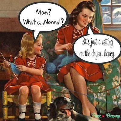 A young girl asks "Mom, what is normal?" A 1950's looking woman answers, "it's just a setting on the dryer."