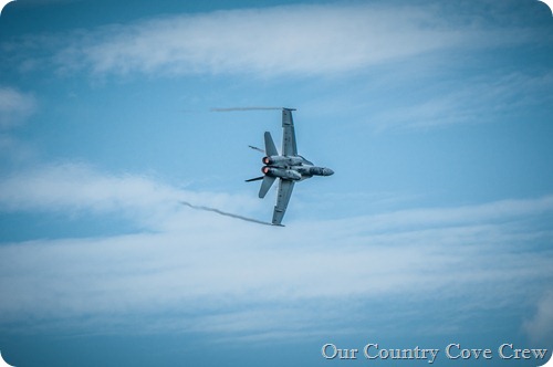 air show (82)