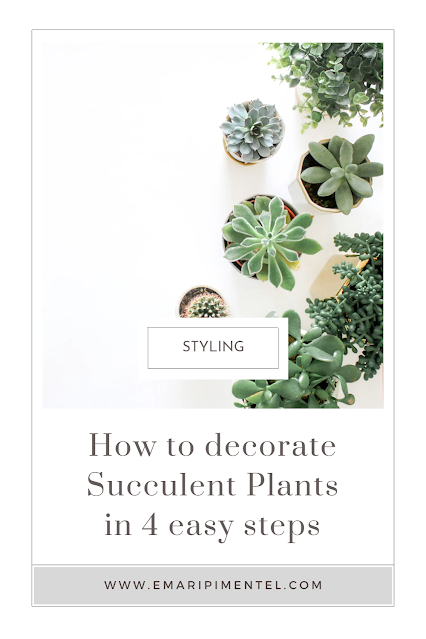 How to decorate succulent plants in 4 easy steps